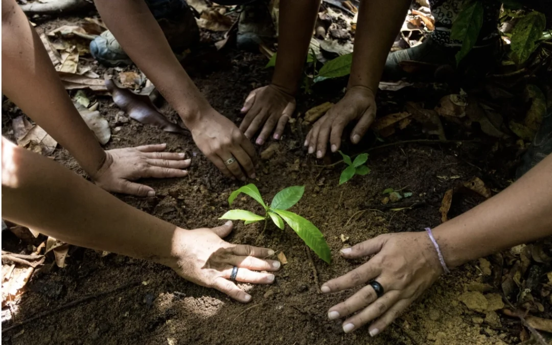 Cinco dimensões da Justiça Climática para uma Política Externa Feminista justa